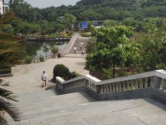 -大屏嶂森林公园