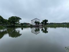 -水岸居湖景农家乐·阳澄湖大闸蟹