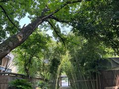 -新荣记(西溪湿地店)