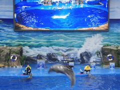 -多彩贵州城极地海洋世界