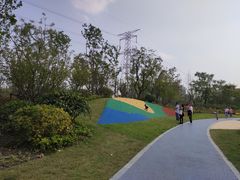 -昆山城市生态森林公园