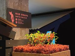 -现代汽车文化中心 Hyundai Motorstudio Beijing