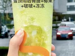 -CoCo都可(江宁托乐嘉店)