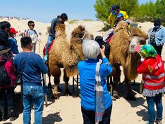 -库伦旗银沙湾旅游景区