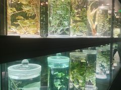 -广东中医药博物馆