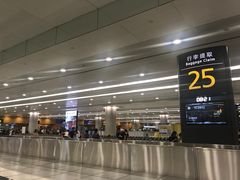 -上海浦东国际机场-T2航站楼