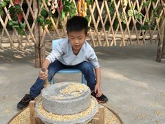 -北戴河集发农业梦想王国