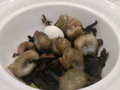 冲汤活海参-伊尹活海参馆(衡山路店)