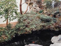 -胡雪岩故居