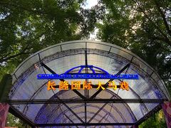 -广州长隆国际大马戏