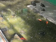 -廊坊市自然公园