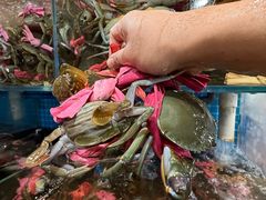 -辣螃铠盆盆蟹大排档(总店)