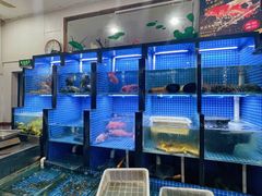 -金龙·打边炉(武进路店)