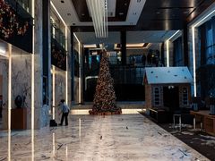 -上海漕河泾万丽酒店