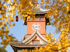 -四川大学(望江校区)