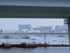 -五缘湾湿地公园