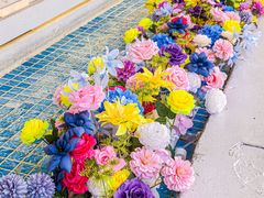 -天空花园餐吧·生日·团建(南山店)