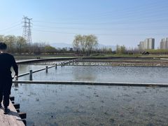 -永定河休闲森林公园