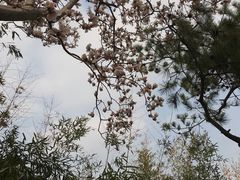 -永定门公园