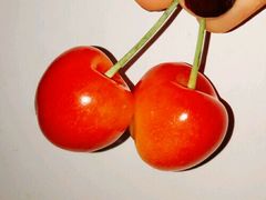 -小六汤包(万和城店)