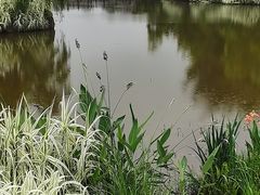 -张坝桂圆林公园