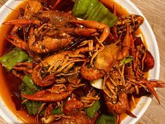 香辣小龙虾-宝记烧烤·碳锅羊肉·羊蝎子火锅·夜食社(文体路创始店)