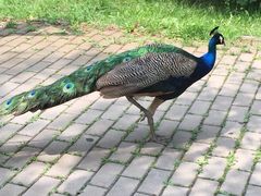 iphone_upload_pic-沈阳鸟岛