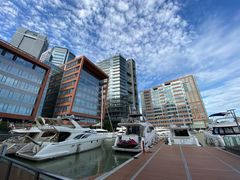 -北外滩滨江绿地