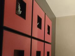 -大鸭梨烤鸭(望京店)