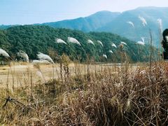 -四明山国家森林公园