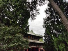 -报恩寺(平武县)