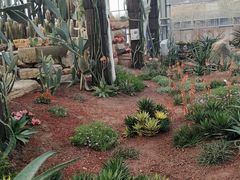 -南通洲际绿博园