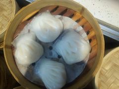 -高第街56号餐厅(银座商城玉函店)