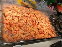 -威珀斯酒店·珀萃美食餐厅 | 海鲜刺身·现烤生蚝·特色烤肉