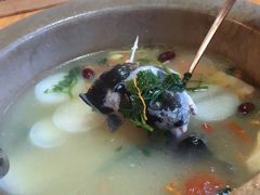 -抚仙湖生态石锅鱼野生菌(告庄店)