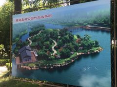 -黄海国家森林公园