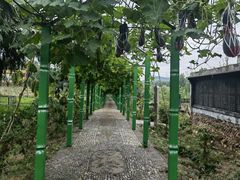 -东方巨龟苑景区