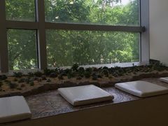 -美联众合动物医院·24h转诊中心