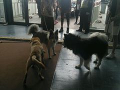 -东浩兰生上海世博展览馆