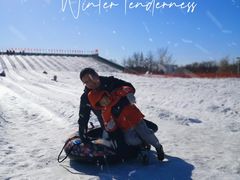 -绿野森林乐园冰雪季