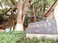 -马王堆汉墓遗址