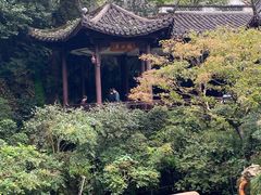 -杭州黄龙洞