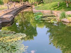 -三里河公园