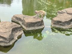 -海南热带野生动植物园