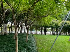 -阳澄湖费尔蒙酒店颐丰阁中餐厅(马鞍山西路店)