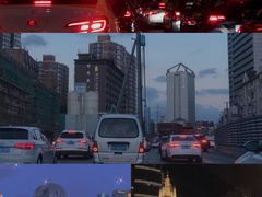 -胜博殿霸王树(嘉里中心店)