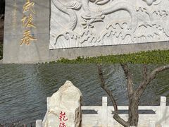 -桃花堤公园