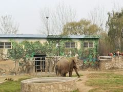 -西安秦岭野生动物园
