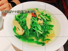 -森隆饭庄(崇文门新世界百货店)