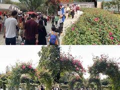 -人民公园(罗湖区)